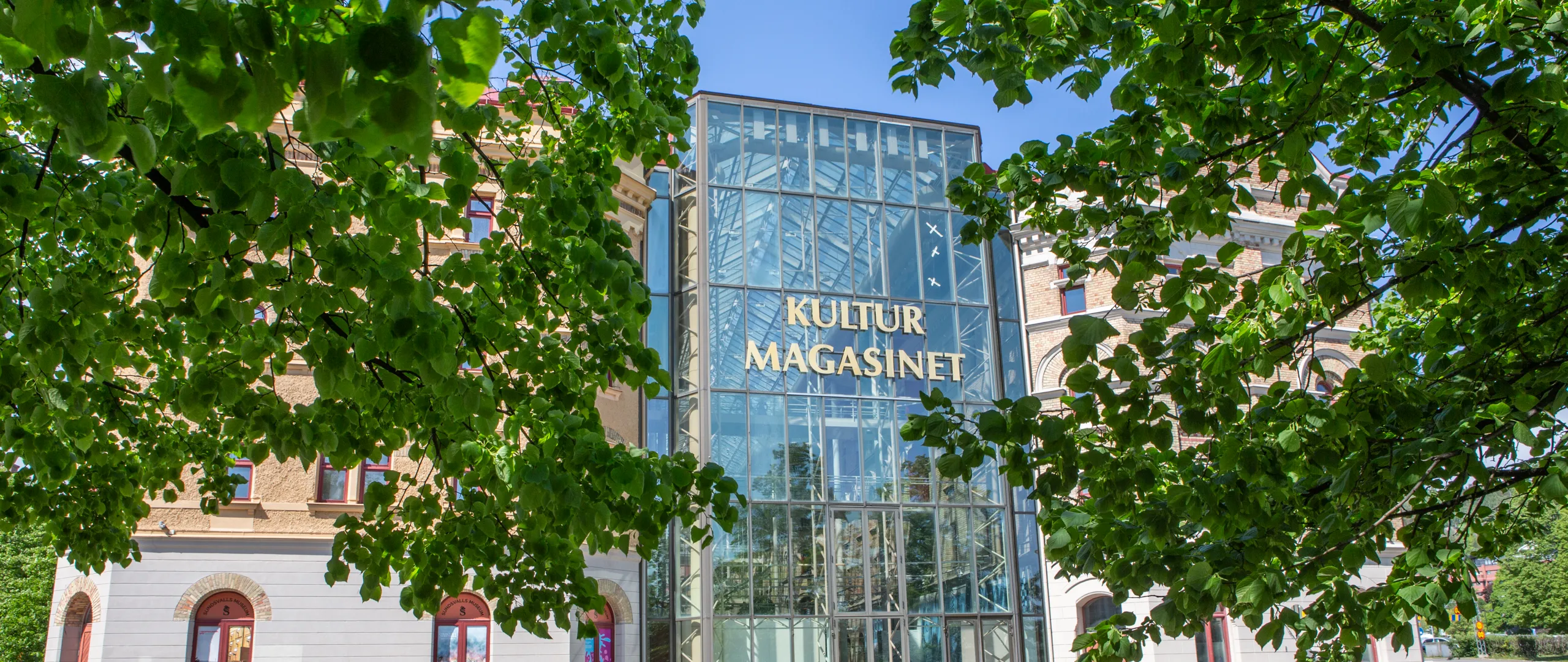 Kulturmagasinets östra fasad skymtar bland trädgrenarna.
