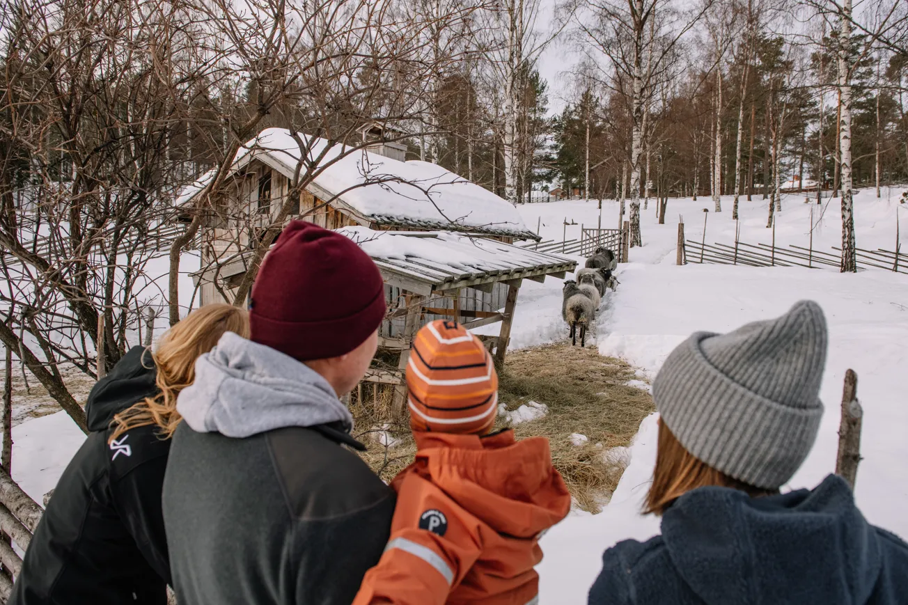 Några människor som står i snön.