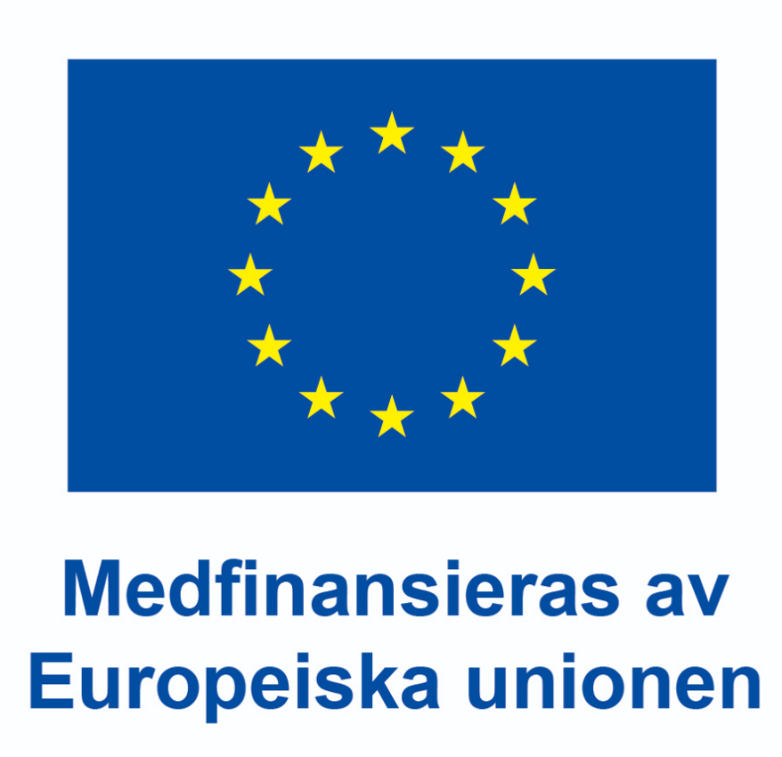Europeiska unionens logotyp