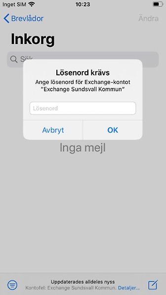 Skärmdump på iPad visar inkorg som kräver lösenord.